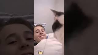 #Pet
