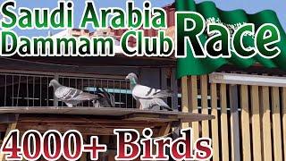 Saudi Arabia Racing Pigeon Race  Pigeon Race Dammam| سباق الحمام الزاجل في المملكة العربية السعودية