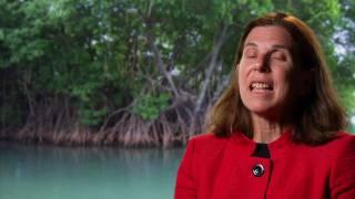 Lynne Hale - The Nature Conservancy