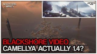 1.3 CBT BLACKSHORE AREA, CAMELLYA 1.4, AERO ROVER, AND MORE! | Wuthering Waves Leaks