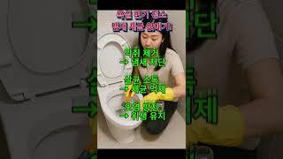 욕실 변기 냄새, 이것만 붓으면 해결됩니다! 악취 제거와 살균 소독까지 한번에 해결하는 방법!!