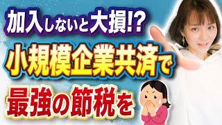 【個人事業主必見】知ったら入れ！小規模企業共済