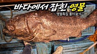 The Most Popular Winter Seafood Dishes in Korea (Collection)