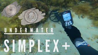 Nokta Makro Simplex+ CLEAR VISIBILITY Metal Detecting Underwater