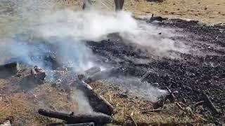 Pile burn to Biochar -  burning for biology