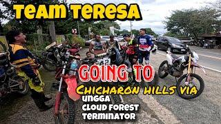 Team Teresa to Chicharon Hills