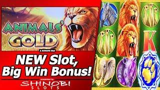 Animals' Gold Slot - New Slot, Live/Free Spins Bonuses, Big Win