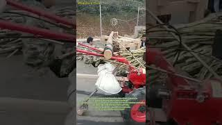 Rural Ingenuity: The Handcrafted Sugarcane Press