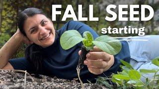 how to start seeds the easy way — let’s start seeds together— gadget testing