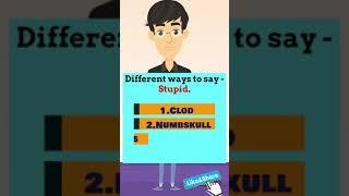 Different Ways to Say STUPID | Stupid