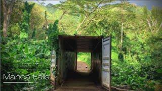 Virtual Walk Through Hawaiian Rainforest to Water Fall