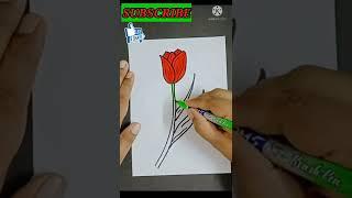 Simple Draw Tulip flower by dowlatheef