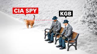 How the CIA Uses Pigeons to Spy