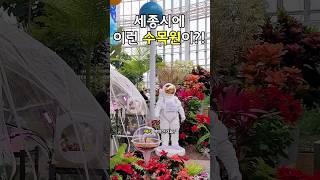 [SUB] 韓国にある美しい樹木園