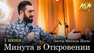 МИНУТА В ОТКРОВЕНИИ - с Михаэлем Шагас (01.06.2020)