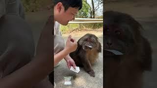 Xingxing: Are you crazy? You think this thing is edible?