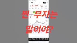 추세 추종? soxl tqqq ionq bitx 미국주식 나스닥 비트코인 투자