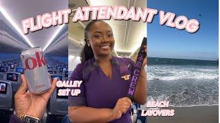 FLIGHT ATTENDANT WEEK IN MY LIFE | Base transfer, Working in the Galley, San Diego Layover