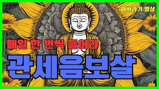 [30분 | 해바라기 영상] 관세음보살 매일 한 번씩 들어라 #관세음보살 #나무아미타불 #명상 #기도