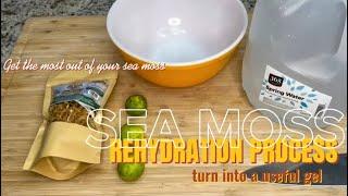 Sea Moss Magic: Step-by-Step Guide to Perfectly Rehydrate & Transform into Gel!