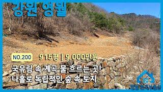 [영월토지]NO.200 국유림과 작은 계곡으로 둘러싸인 독립적인 산골토지, 나홀로 귀촌 토지 #영월로귀촌 #영월한국부동산