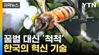 [자막뉴스] 벌들 대신해 수분...세계에 발맞춘 한국 / YTN