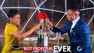 Surprise Engagement Proposal