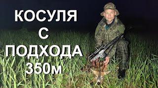 Охота НА КОСУЛЮ с подхода, выстрел на 350 метров.