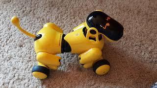 Gizmo the Robot Puppy/Puppy Go Review