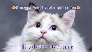 Classical Giuseppe Verdi Music collection  Rigoletto Overture BGM