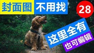 028#封面图下载也可在线编辑免费图片下载封面图在线制作封面图无版权free image editing software