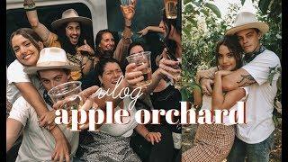 Vlog: NY Apple Orchard | too many ciders later...