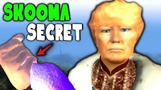 Exposing Oblivion's Skooma Den | Confronting Their Secret Supplier!!