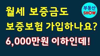 월세 보증금도 보증보험에 가입해야 하나요 ? 6,000만원 이하인데!