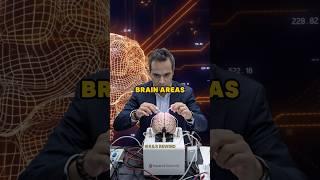 How to grow your brain to live longer #joerogan