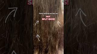 Split ends will most often be found towards the ends of your hair. #hair #splitends