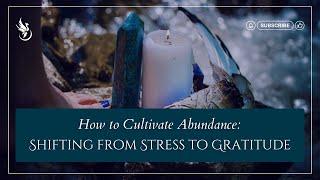 How to Cultivate Abundance: Shifting from Stress to Gratitude