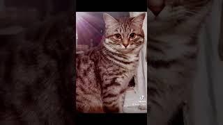 Аслан в детстве и сейчас