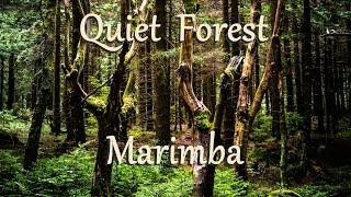 Relaxing Marimba Music / Calming Music for Meditation / Stress Relief