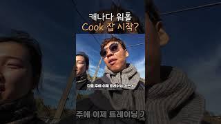 캐나다 워홀 cook잡 붙었어요..