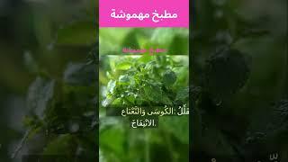 ما هي الاطعمة المفيدة للقولون العصبي