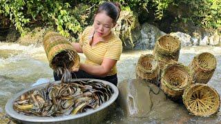 How to weave Bamboo baskets to catch Fish, Make colorful sticky rice, How to grow green beans.