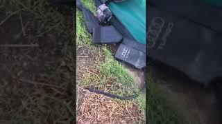 2007 Audi A4 electric fan removal fast way !