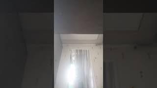 7 ноября 2024 г.