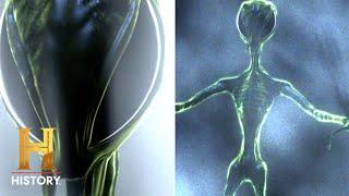 PRAYING MANTIS ALIEN Abducts Young Girl | Ancient Aliens | #Shorts