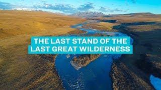 The Last Stand of the Last Great Wilderness | Sierra Club Video