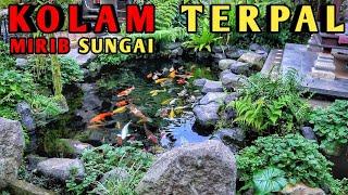 KOLAM KOI NATURAL DARI TERPAL SETELAH 1 TAHUN JALAN APA SAJA KENDALANYA#KOLAMKOINATURAL#KOLAMKOI#KOI