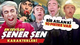 Bir Aslan ki 10 Metre Var! - En Sevilen Karakterleriyle Şener Şen