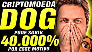 PODE SUBIR 40.000% A CRIPTOMOEDA DOG GO TO THE MOON IGUAL ESSA CRIPTO FEZ 60.000% AUGUSTO BACKES