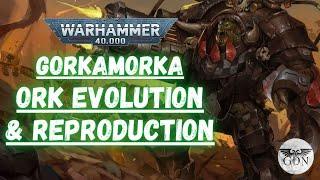 Warhammer 40k Lore - Ork Evolution & Reproduction Explained